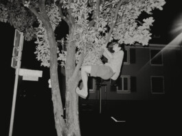 Peter Oliver Wolff — Photographer