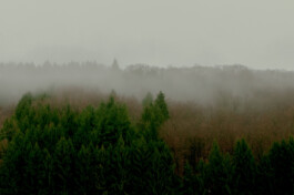 Peter Oliver Wolff — Photographer