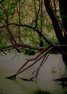 Peter Oliver Wolff — Photographer