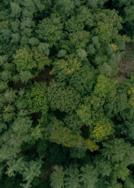 Peter Oliver Wolff — Photographer