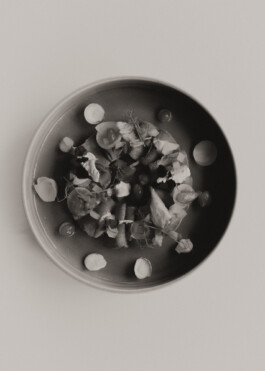 Peter Oliver Wolff — Photographer